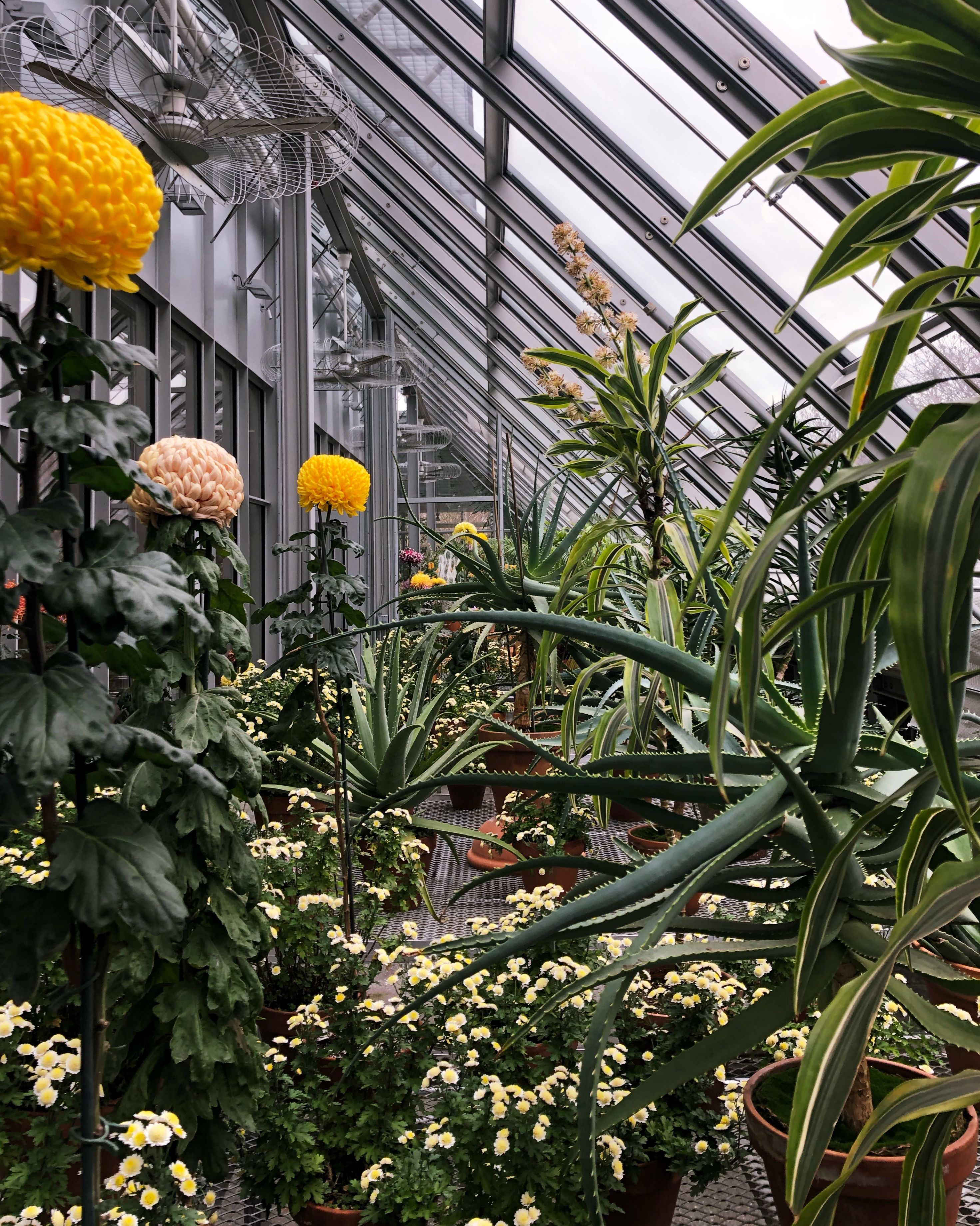 McGee Greenhouse