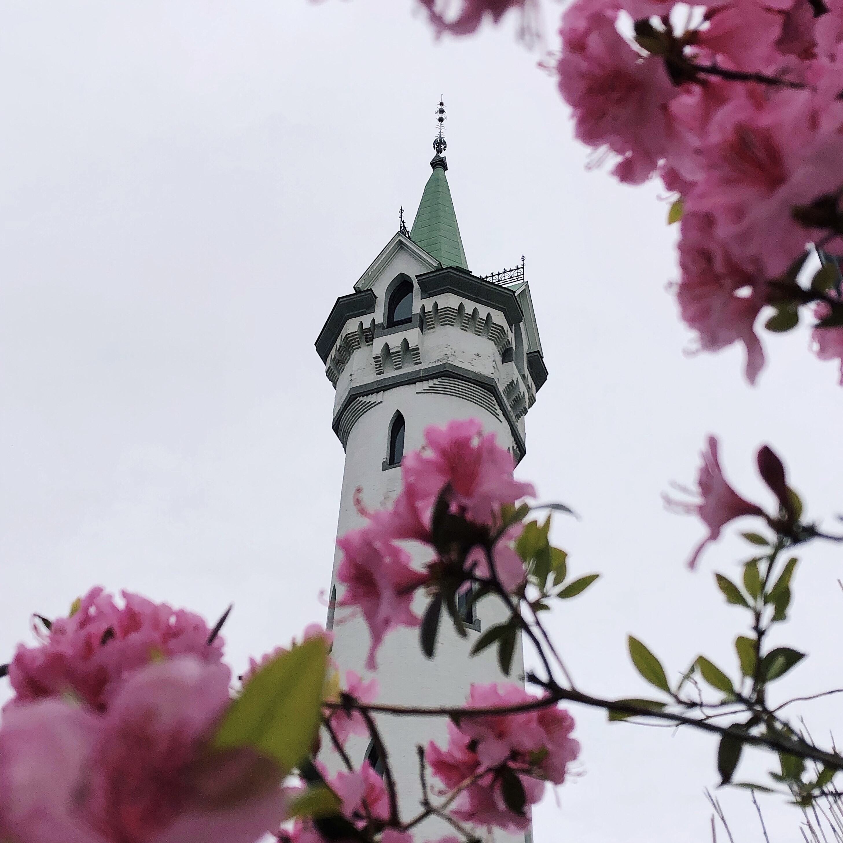 Roxbury Highlands in the spring with flowers blooming.