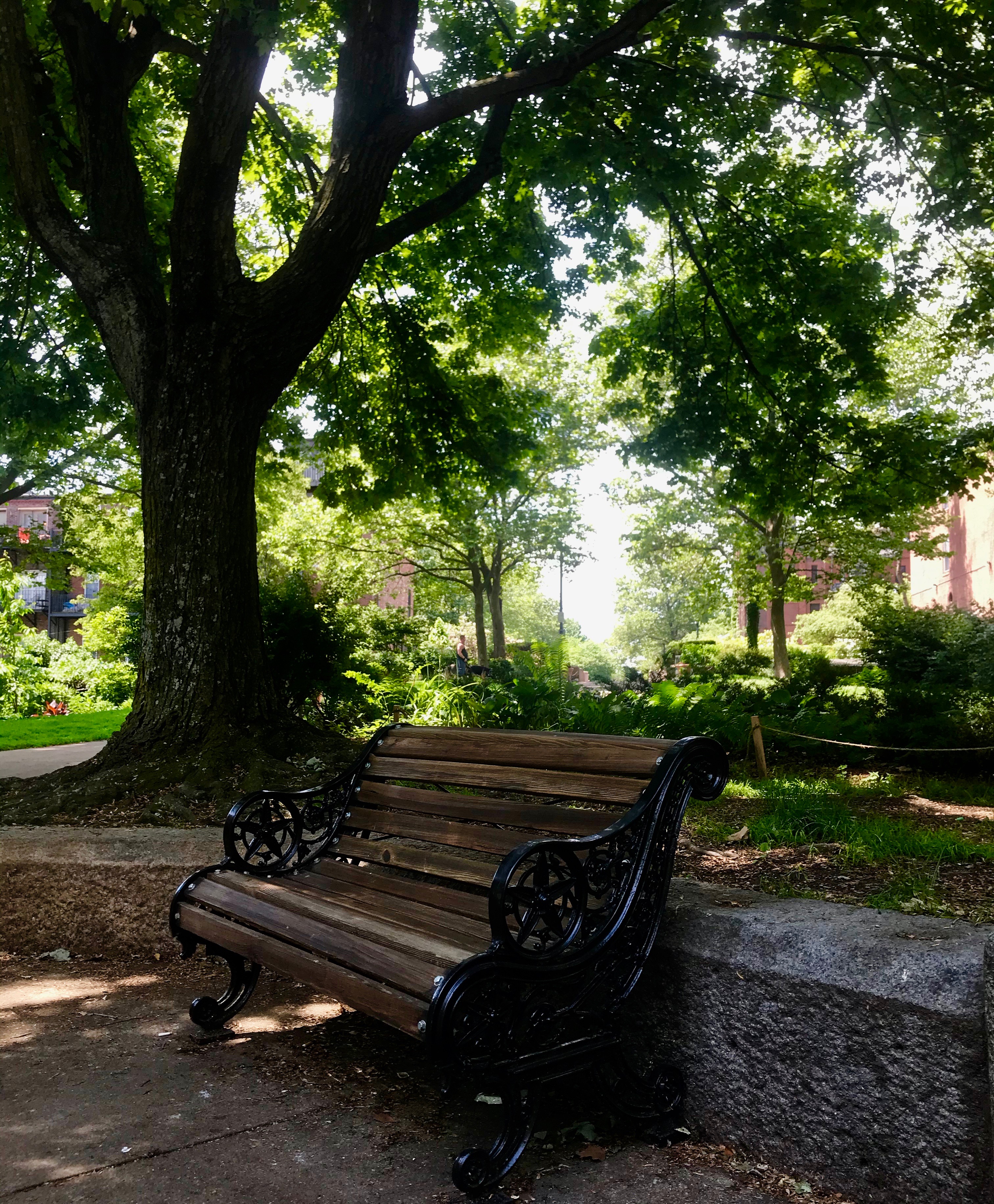 Park bench along the Southwest Corridor Path near Titus Sparrow Park