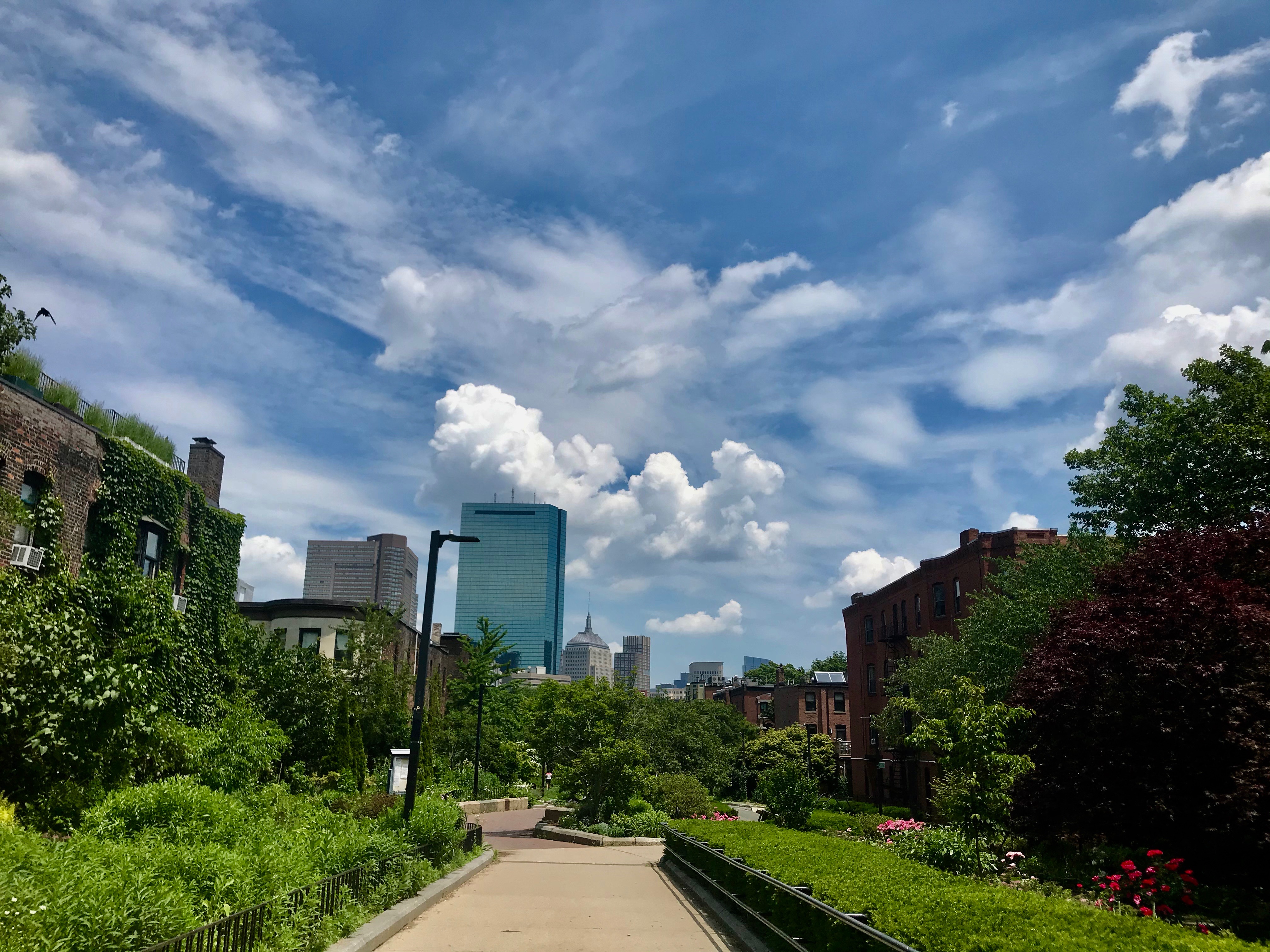 Boston skyline from the Southwest Corridor Path near Titus Sparrow Park